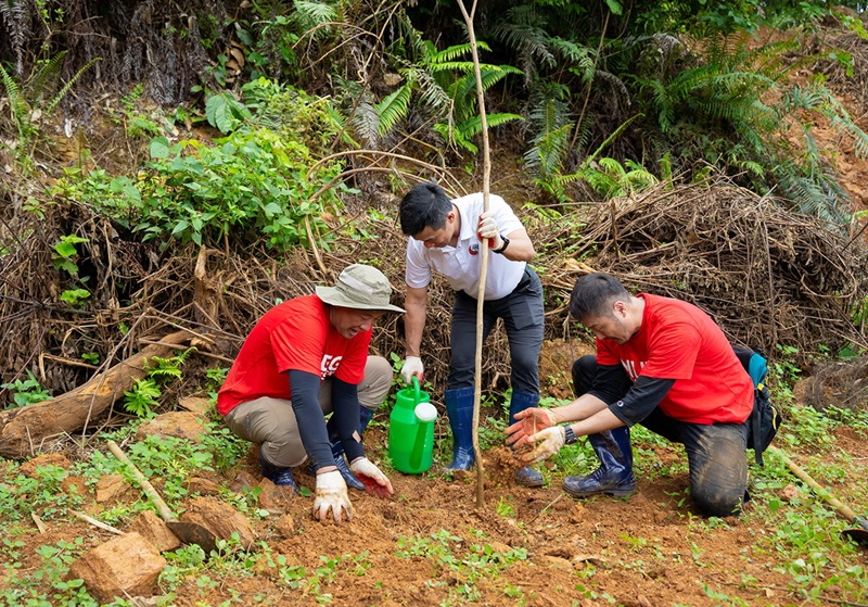 MUFG Green Day: Planting trees and promoting biodiversity in Ba Vi