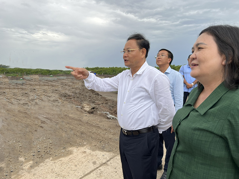 Deputy Minister of MONRE Le Minh Ngan inspects coastal erosion prevention project at Con Nhan, Ba Tri, Ben Tre