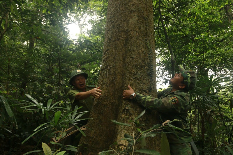 Carbon credits and forest protection in Quang Tri: An interview with Mr. Tran Quoc Tuan, Director of the Provincial Department of Agriculture and Environment