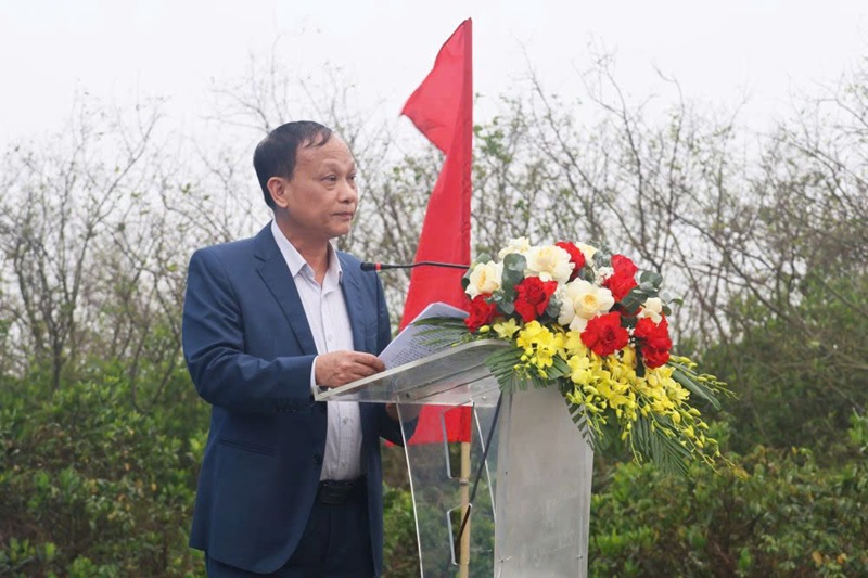 Thai Binh plants 1,500 mangrove apple trees at Thai Thuy wetland nature reserve