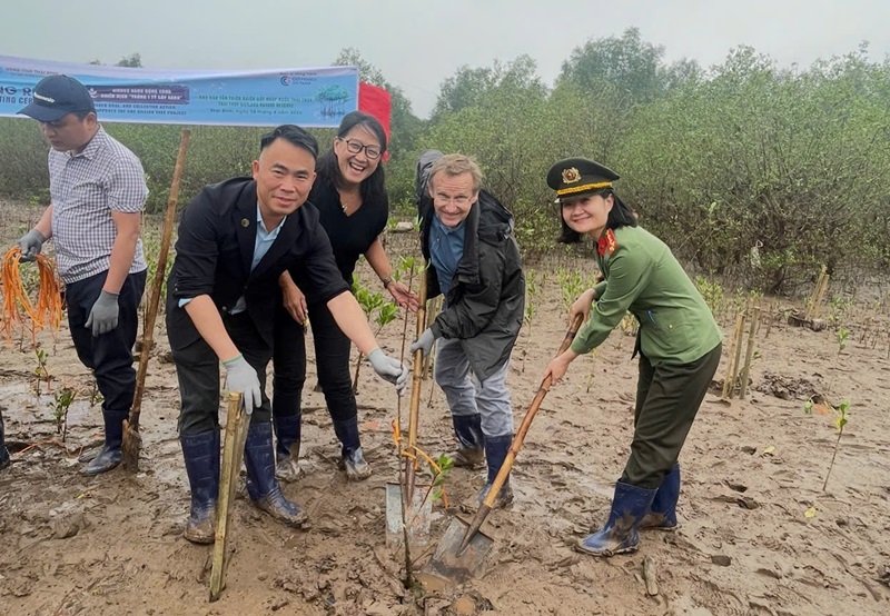 Thai Binh plants 1,500 mangrove apple trees at Thai Thuy wetland nature reserve