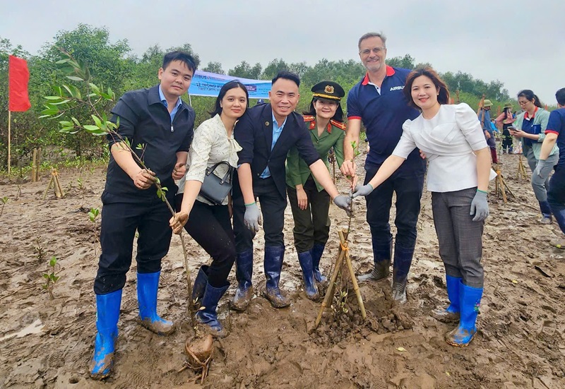 Thai Binh plants 1,500 mangrove apple trees at Thai Thuy wetland nature reserve