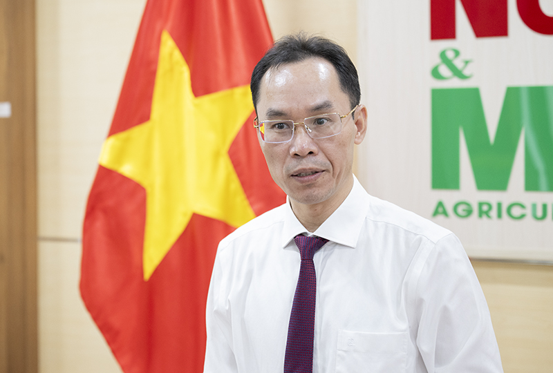 Promoting the cultural heritage of ancient “Shan Tuyet” Suoi Giang green tea