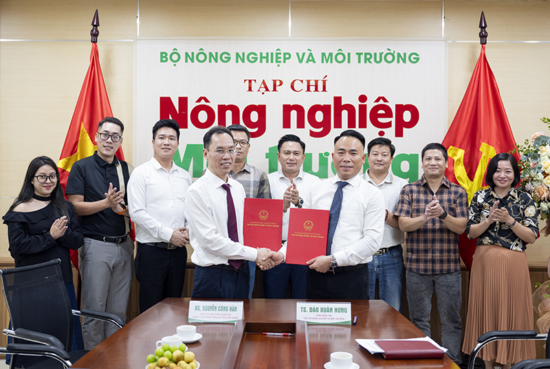 Promoting the cultural heritage of ancient “Shan Tuyet” Suoi Giang green tea