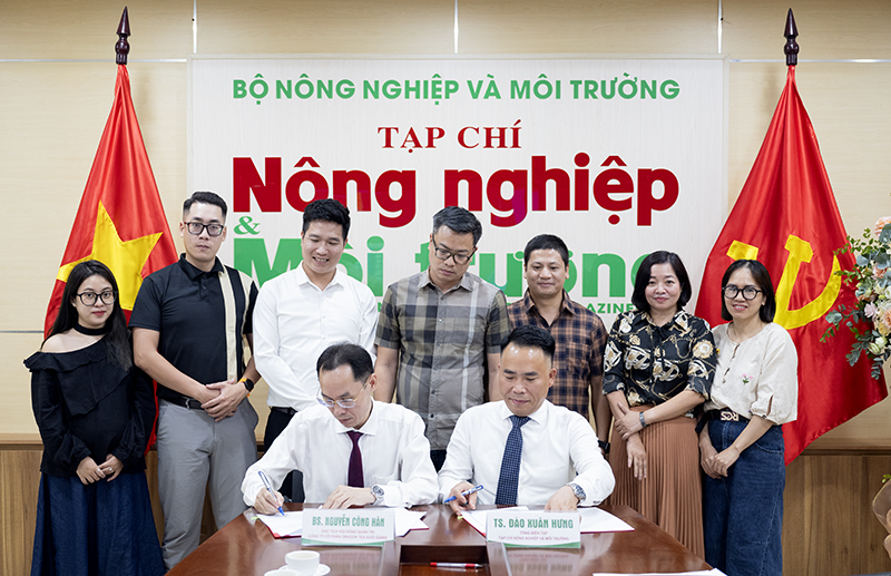 Promoting the cultural heritage of ancient “Shan Tuyet” Suoi Giang green tea