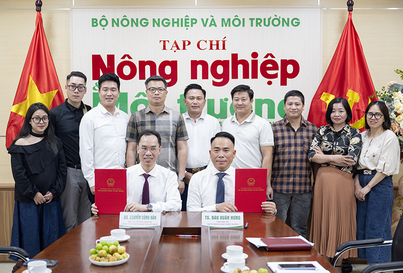 Promoting the cultural heritage of ancient “Shan Tuyet” Suoi Giang green tea