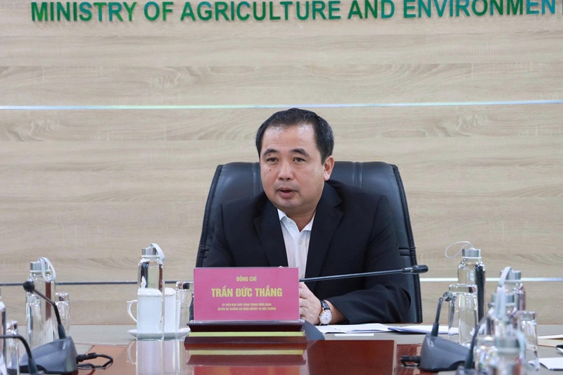 Vietnam - Japan promote biomass energy cooperation, initiate carbon market taskforce