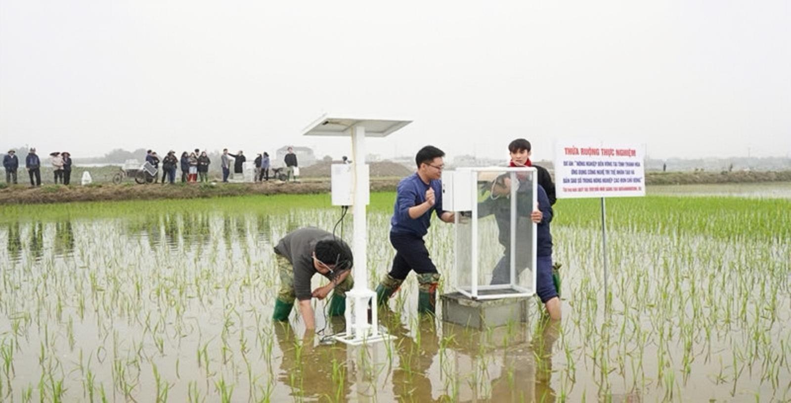Thanh Hoa: Low-emission rice production towards carbon credit agriculture