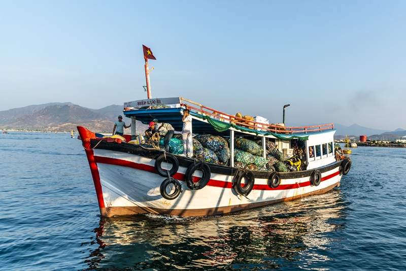 Award-winning photos capture the essence of ocean conservation