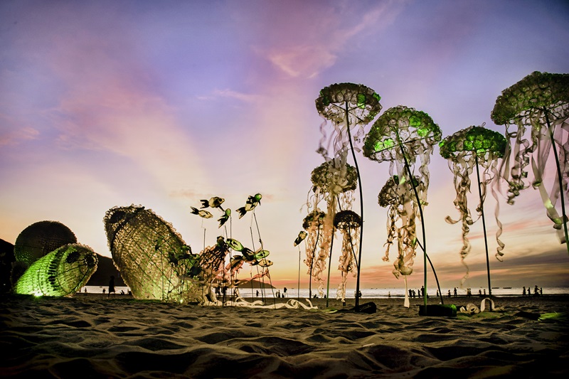 Award-winning photos capture the essence of ocean conservation