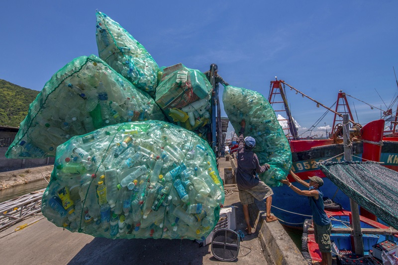Award-winning photos capture the essence of ocean conservation