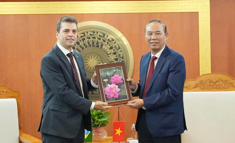 Strengthening business links and building a joint Vietnam-Brazil coffee brand