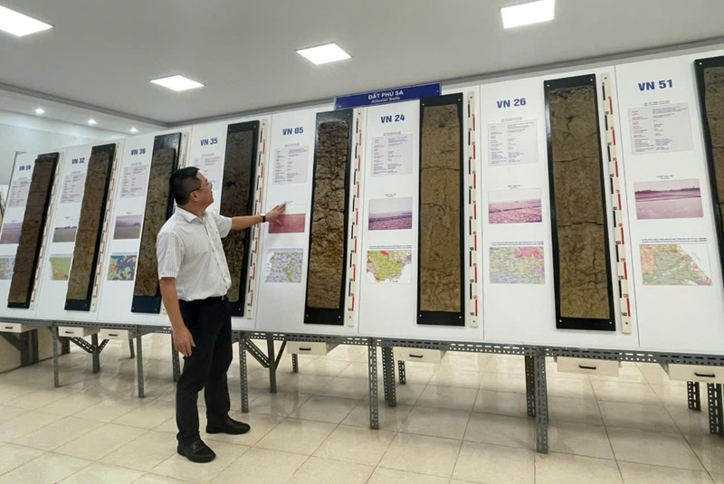 Assoc. Prof. Dr. Tran Minh Tien: To develop sustainable agriculture, we must treat soil as a living organism