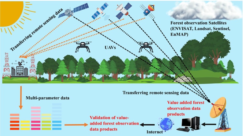 Application of artificial intelligence and remote sensing in forest monitoring: A new approach from Do Cong Ba’s research