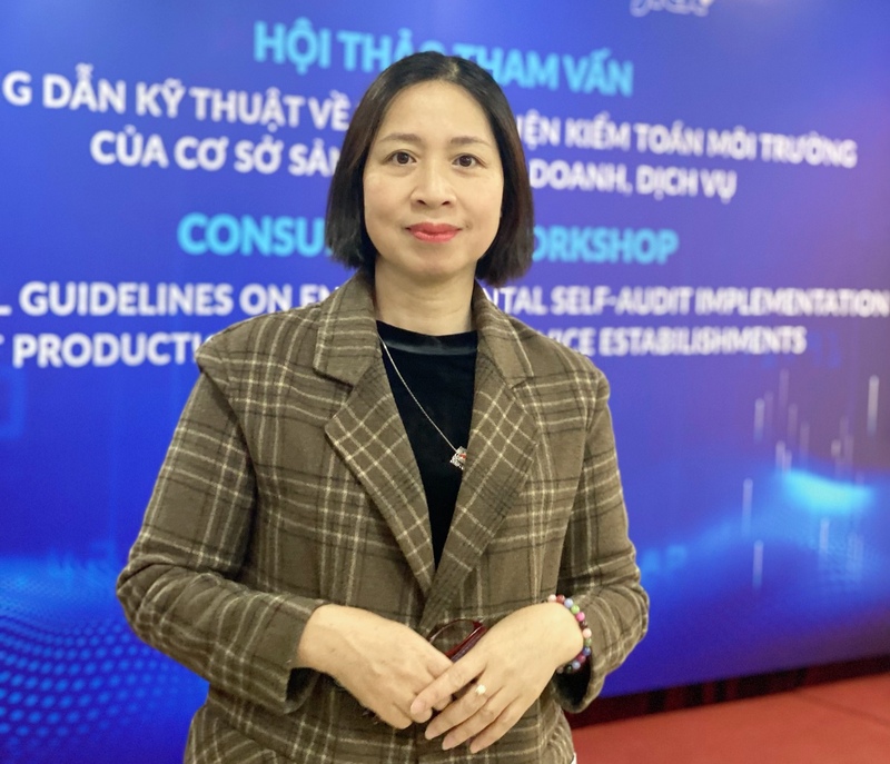 Consultation workshop on technical guidelines on environmental self-audit implementation of production, business and service establishments