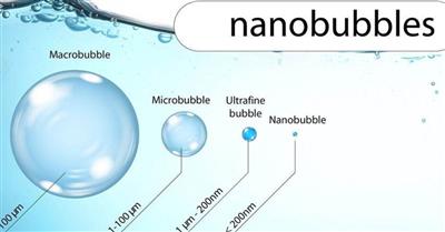 Application of nanobubble technology in seafood preservation: Potentials and challenges