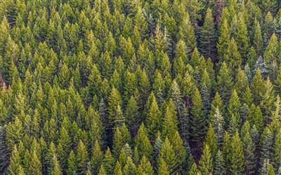 EU ministers approve landmark Nature Restoration Law amid controversy