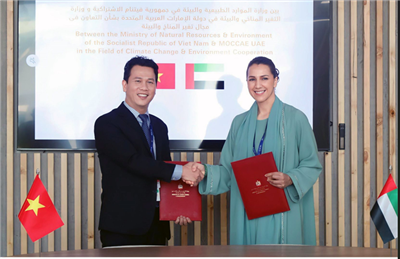 Expectations from Cop 28 conference