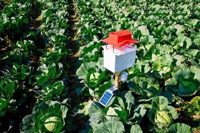 Harnessing solar power for sustainable agroforestry: An automated phototactic device to control insect pests