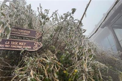 Lao Cai: Ice and snow blanket Fansipan peak