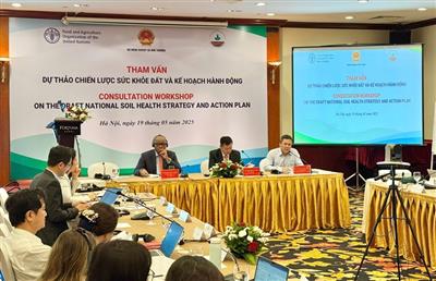 Laying the groundwork for sustainable agriculture: Vietnam consults on national soil health strategy