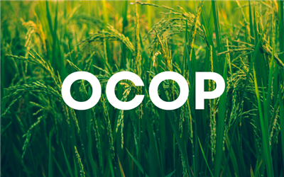 OCOP - A Vietnamese model for modern rural development: Bridging indigenous values with global markets
