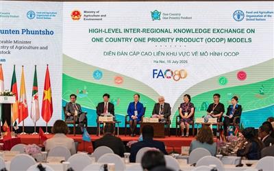 Science and innovation: Keys to advancing OCOP in the transformation of agri-food systems