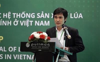 Shaping a sustainable future for Vietnam’s rice sector