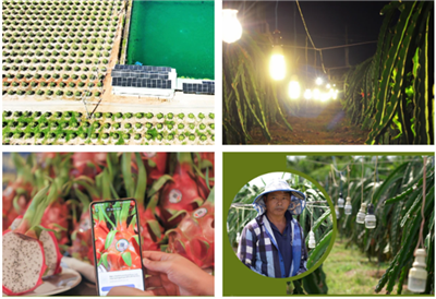 Shaping Vietnam’s agricultural digital future: Multi-stakeholder perspectives