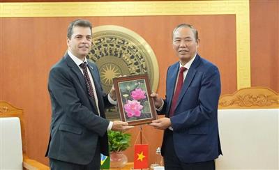Strengthening business links and building a joint Vietnam-Brazil coffee brand
