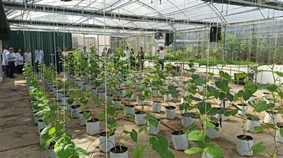 Strengthening water security: Lessons from Israel and opportunities for Vietnam - Israel cooperation