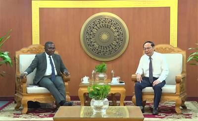 United Nations commends Vietnam’s efforts in energy system restructuring