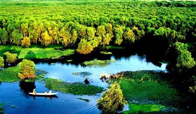 CO₂ absorption capacity of melaleuca forest in Tra Su landscape protection area