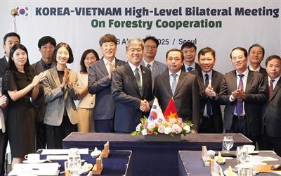 Vietnam - Republic of Korea: Advancing the Comprehensive Strategic Partnership through agriculture, forestry, and fisheries cooperation