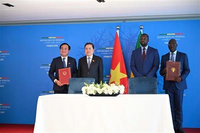 Vietnam - Senegal: Agricultural cooperation opens a new phase in South-South relations