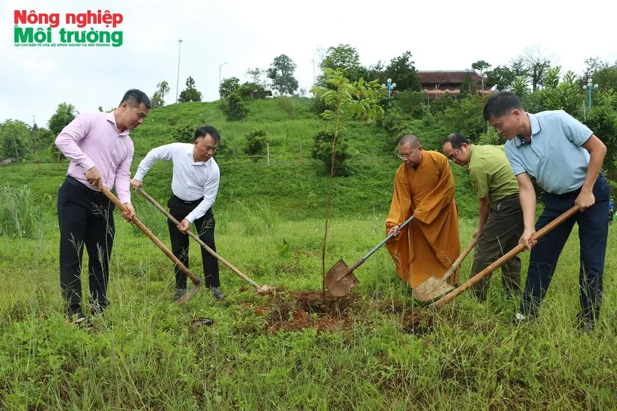 Agriculture and Environment Magazine plants 405 trees at Linh Son pagoda under ‘Green pagoda’ program
